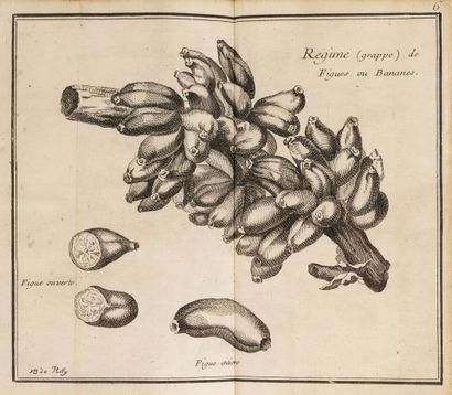 SLOANE (Hans).
History of Jamaica.
Translated...
