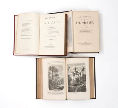3 vol. en percaline noire, marron ou rouge...