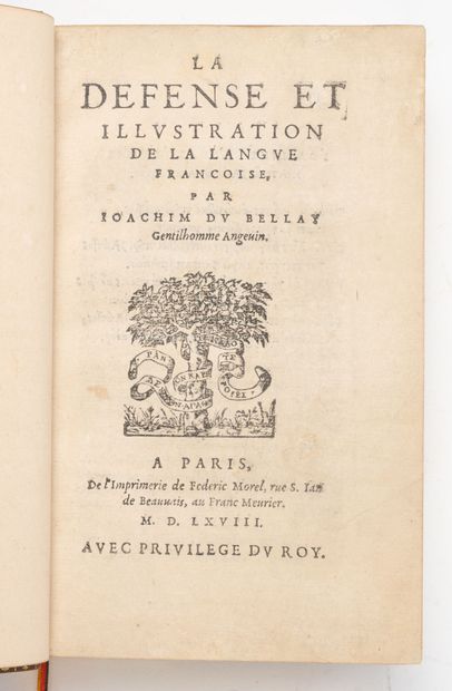 Joachim DU BELLAY
Le défense et illustration...