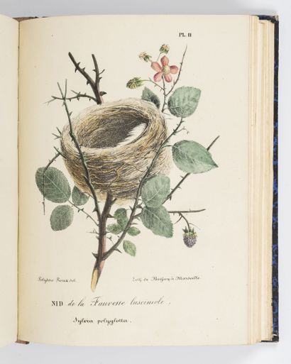 ROUX (Polydore)
Ornithologie provençale ou...