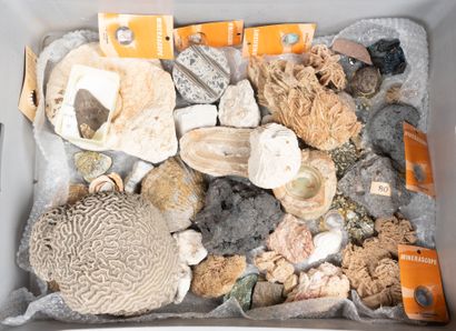 Gypsum, pyrites, obsidian, sulfur, quartz,...