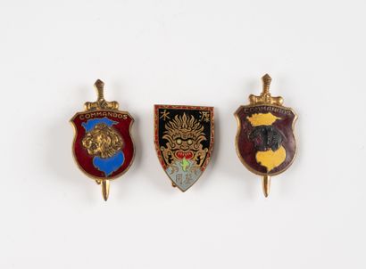 Trois insignes : Commando n° 3, n°14 et n°...
