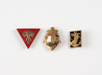Trois insignes : 106e Détachement Vietnamien...