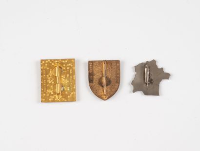 Trois insignes : Centre d'estivage Vat Chay....
