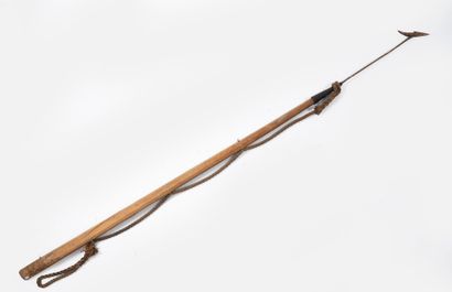 WHALE HUNTING
Harpoon with articulated head,...