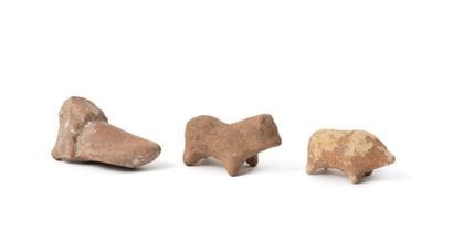 Great Greece, Hellenistic period.
Lot including...