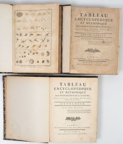 BONNATERRE (Abbé)
Tableau encyclopédique...