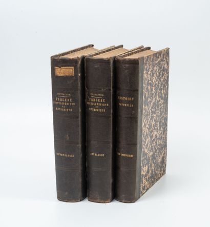 BONNATERRE (Abbé)
Tableau encyclopédique...