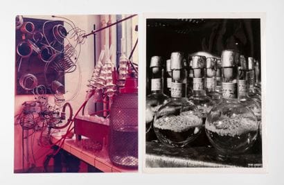 RENÉ-JACQUES (1908-2003, René GITON). Institut...