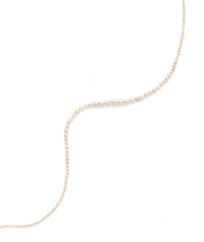 Delicate necklace of gently-falling white...