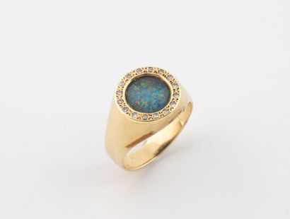 Small signet ring in yellow gold (585) set...