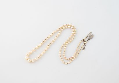 Necklace of falling white cultured pearls.
White...