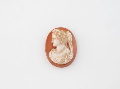 Cameo medallion on shell with portrait of...