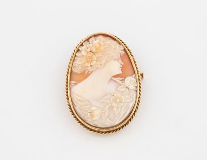 Yellow gold (750) medallion brooch centering...