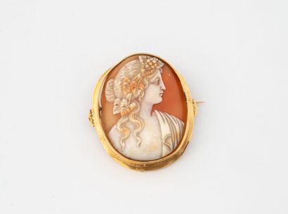 Yellow gold (750) medallion brooch set with...