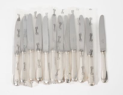 CHRISTOFLE
12 table knives, silver-plated...