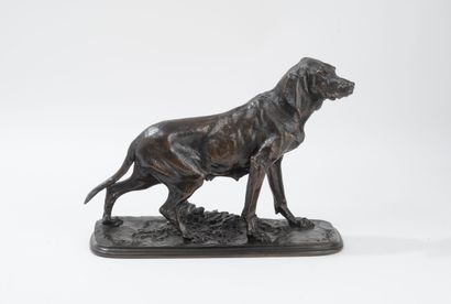 D'après Pierre-Jules MENE (1810-1879)
Chienne...