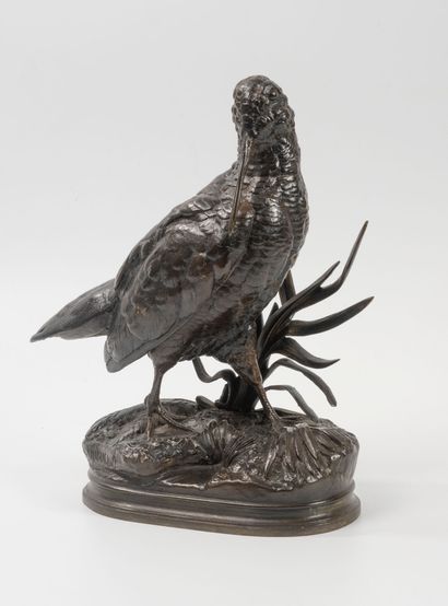 D'après Alfred DUBUCAND (1828-1894)
Bécasse...