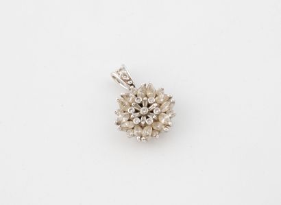 Small flower pendant in white gold (750)...