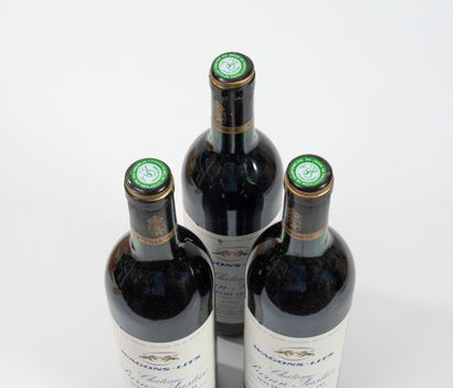 CHÂTEAU PARAN JUSTICE
3 bottles, 1988.
Saint-Emilion.
Sleeping...