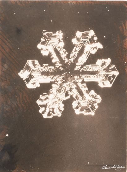 Lennart NILSSON (1922-2017)
Scientific photograph,...