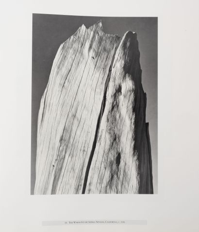 Set of 2 books: 
-Eugenia PARRY JANIS.
The...