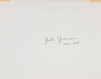 Gasho YAMAMURA (20th)
On Vegetation (forest...