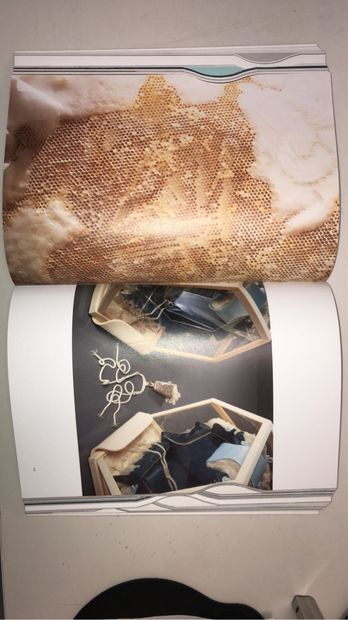 Nancy SPECTOR
Matthew Barney. The Cremaster...