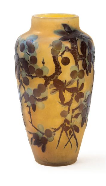 Établissements GALLE
Flat-bottomed vase with...