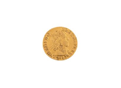 LOUIS XIII (1610-1643)
Warin half gold louis....