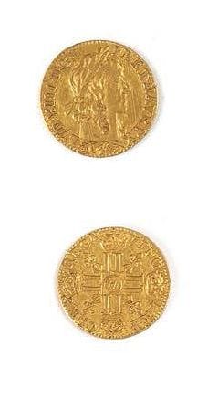 LOUIS XIII (1610-1643)
Warin half gold louis....