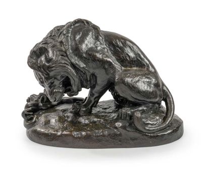After Antoine Louis BARYE (1796-1875)
Lion...