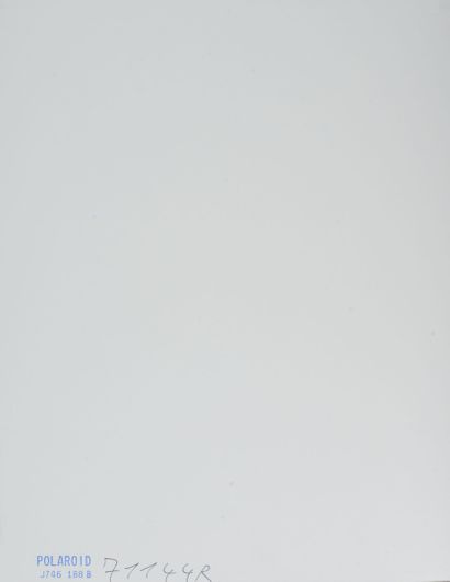 Karl LAGERFELD (1933-2019)
Portrait of a...