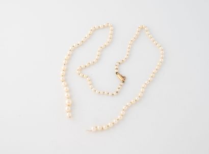 Collier de perles de culture en chute, le...