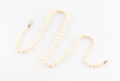 Collier de perles de culture en légère chute....