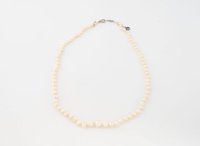 Collier de perle de culture blanche en légère...