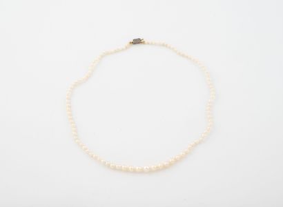 Choker necklace adorned with probably fine...