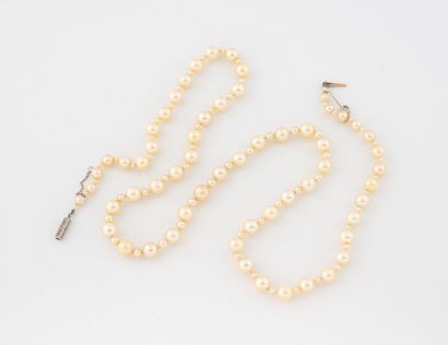 Collier de perles de culture en chute et...