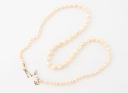Collier de petites et grandes perles de culture...