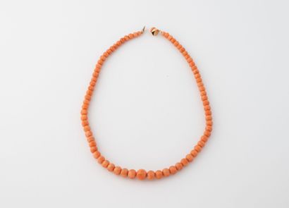 Collier de perles de corail en chute. 
Fermoir...