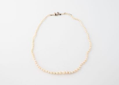 Collier de perles blanches, la plupart probablement...
