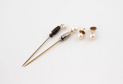 Paire de clous d'oreilles en or jaune (750)...