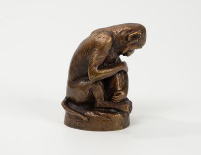 After E.M. SAMSON (19th-20th century)
Monkey...