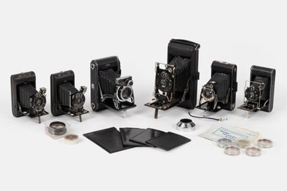Set of SIX miscellaneous bellows cameras:
-...