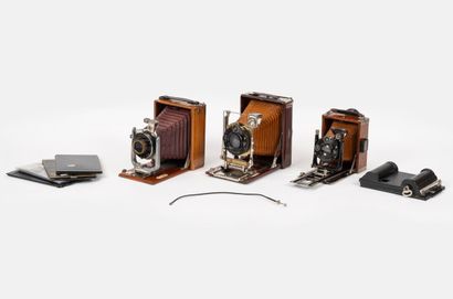 Set of THREE miscellaneous bellows cameras...
