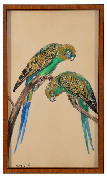 Raymond BIGOT (1872-1953)
Two parakeets on...