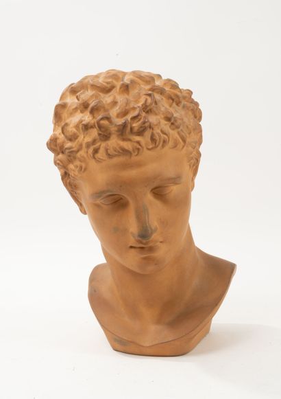 D'après PRAXITELE
Tête d'homme (Hermès ?).
Tirage...
