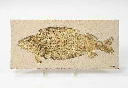 Roger CAPRON (1922-2006)
Poisson.
Carreau...