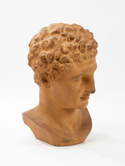 D'après PRAXITELE
Tête d'homme (Hermès ?).
Tirage...