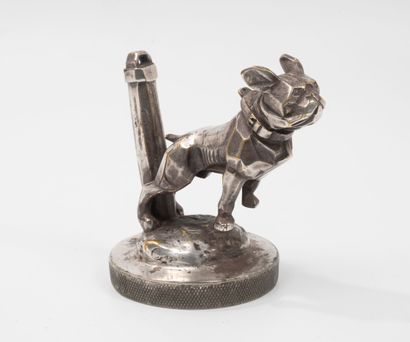 Bulldog mascot with chain. First prize at...